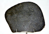 94.33g Ureilite Augite-bearing Achondrite Meteorite Slice I NWA 11900