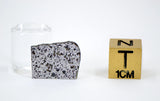 1.27g Ungrouped Chondrite Meteorite Slice I Very Rare I NWA 12273