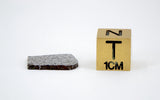 1.27g Ungrouped Chondrite Meteorite Slice I Very Rare I NWA 12273
