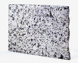 3.82g Ungrouped Chondrite Meteorite Slice I Very Rare I NWA 12273