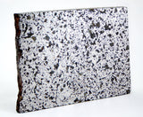 3.82g Ungrouped Chondrite Meteorite Slice I Very Rare I NWA 12273