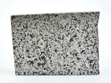 3.93g Ungrouped Chondrite Meteorite Slice I NWA 12273 Very Rare