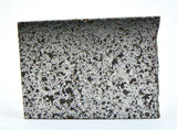 3.93g Ungrouped Chondrite Meteorite Slice I NWA 12273 Very Rare
