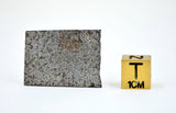 3.93g Ungrouped Chondrite Meteorite Slice I NWA 12273 Very Rare