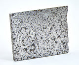 3.93g Ungrouped Chondrite Meteorite Slice I NWA 12273 Very Rare