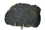 24.08g H5 Chondrite Melt Breccia Meteorite Slice I NWA 12924