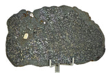 24.08g H5 Chondrite Melt Breccia Meteorite Slice I NWA 12924