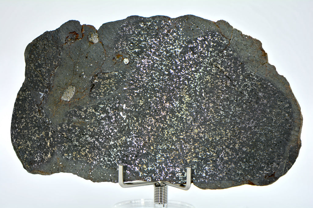 24.08g H5 Chondrite Melt Breccia Meteorite Slice I NWA 12924 – Top ...