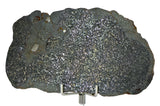 24.08g H5 Chondrite Melt Breccia Meteorite Slice I NWA 12924