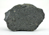 53.75g NWA 12925 I Carbonaceous Chondrite