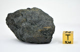 53.75g NWA 12925 I Carbonaceous Chondrite