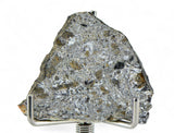 2.5g HED Achondrite Meteorite I Amazing Howardite Slice