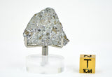 2.5g HED Achondrite Meteorite I Amazing Howardite Slice