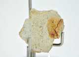 5.60g Diogenite I Beautiful HED Meteorite from Asteroid 4 Vesta