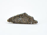 0.193g Martian Meteorite Partial Slice I Augite Basalt I NWA 16895