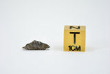 0.193g Martian Meteorite Partial Slice I Augite Basalt I NWA 16895
