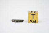 0.193g Martian Meteorite Partial Slice I Augite Basalt I NWA 16895