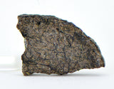 0.409g Martian Meteorite Partial Slice I Augite Basalt I NWA 16895