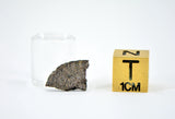 0.409g Martian Meteorite Partial Slice I Augite Basalt I NWA 16895