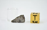 0.465g Martian Meteorite Partial Slice I Augite Basalt I NWA 16895
