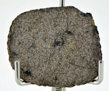 3.03g Martian Meteorite Slice I Augite Basalt I NWA 16895