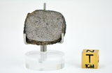 3.03g Martian Meteorite Slice I Augite Basalt I NWA 16895