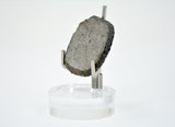 3.03g Martian Meteorite Slice I Augite Basalt I NWA 16895