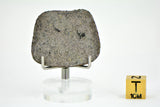 5.09g Martian Meteorite Slice I Augite Basalt I NWA 16895