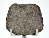 5.09g Martian Meteorite Slice I Augite Basalt I NWA 16895