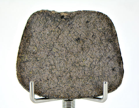 5.09g Martian Meteorite Slice I Augite Basalt I NWA 16895