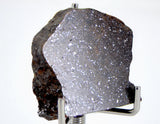 5.48g Acapulcoite Primitive Achondrite Meteorite  I NWA 17906