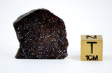 5.48g Acapulcoite Primitive Achondrite Meteorite  I NWA 17906