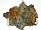 2.59g LL7 Poikiloblastic Chondrite Meteorite Slice I NWA 17585