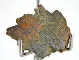 2.59g LL7 Poikiloblastic Chondrite Meteorite Slice I NWA 17585