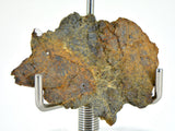 2.59g LL7 Poikiloblastic Chondrite Meteorite Slice I NWA 17585