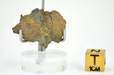 2.59g LL7 Poikiloblastic Chondrite Meteorite Slice I NWA 17585