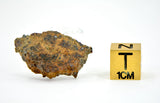 2.97g LL7 Poikiloblastic Chondrite Meteorite End Piece I NWA 17585