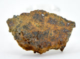 2.97g LL7 Poikiloblastic Chondrite Meteorite End Piece I NWA 17585