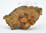 2.97g LL7 Poikiloblastic Chondrite Meteorite End Piece I NWA 17585