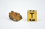 2.97g LL7 Poikiloblastic Chondrite Meteorite End Piece I NWA 17585