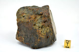 542.6g LL7 Poikiloblastic Chondrite Meteorite Main Mass I NWA 17585