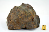 542.6g LL7 Poikiloblastic Chondrite Meteorite Main Mass I NWA 17585
