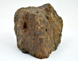 542.6g LL7 Poikiloblastic Chondrite Meteorite Main Mass I NWA 17585