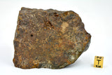 542.6g LL7 Poikiloblastic Chondrite Meteorite Main Mass I NWA 17585