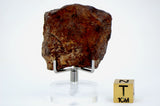 20.42g Acapulcoite Primitive Achondrite Meteorite  I NWA 17906