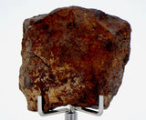 20.42g Acapulcoite Primitive Achondrite Meteorite  I NWA 17906