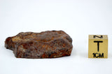 20.42g Acapulcoite Primitive Achondrite Meteorite  I NWA 17906