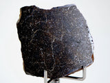 20.42g Acapulcoite Primitive Achondrite Meteorite  I NWA 17906