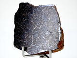 20.42g Acapulcoite Primitive Achondrite Meteorite  I NWA 17906