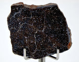 20.42g Acapulcoite Primitive Achondrite Meteorite  I NWA 17906